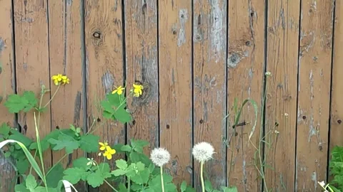 Subjective shooting of the wall for 3D tracking of text and subtitles Video stock 276571051