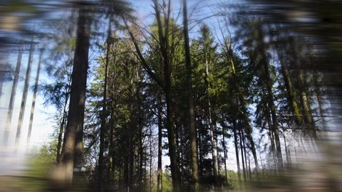 Subjective views in the forest, walking movement, True Crime Footage Stock Footage 330663057