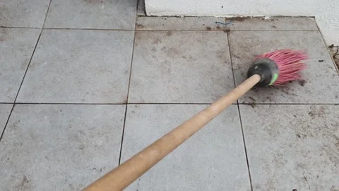 Subjugate the yard Stock Footage 149501655