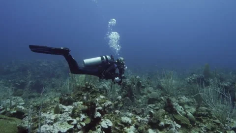 Submarinism in ocean Stock Footage 149567329