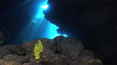 Submerged Cave with Yellow Sponge Stock Footage 300931192