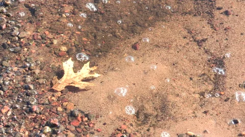 Submerged Leaf in Shallow water Stock Footage 47747947