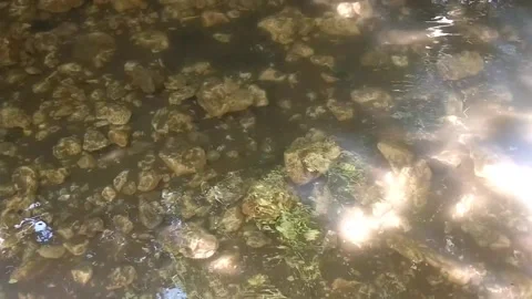 Submerged Pebbles Stock Footage 330585826