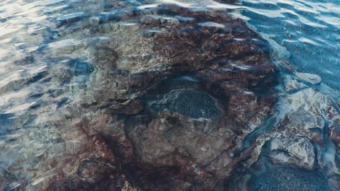 Submerged Rock Under Rippling Clear Lake Water Stock Footage 336406797
