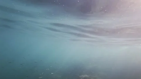 Submerged rocks covered in algae receiving sunlight underwater in deep blue Stock Footage 343154136