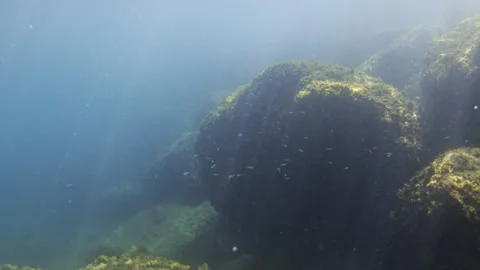 Submerged rocks covered in algae, with sun rays piercing the clear water, Stock Footage 342929464
