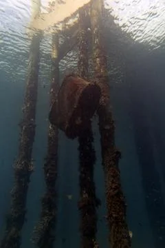 Submerged Structure: Vertical Underwater View Looking Up at Pier Pilings Stock Photos