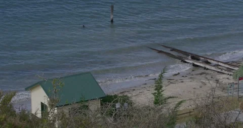 Submerged Train Tracks On Beach Stock Footage 316693230