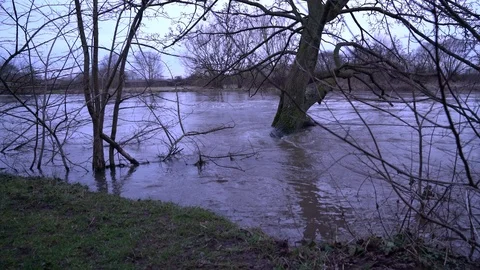 Submerged tree with eroded verge in foreground, flooding, UK, 4k Video stock 87142228