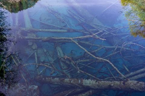 Submerged tree trunks in Five Flower Lake in Jiuzhai Valley National Park Stock Photos