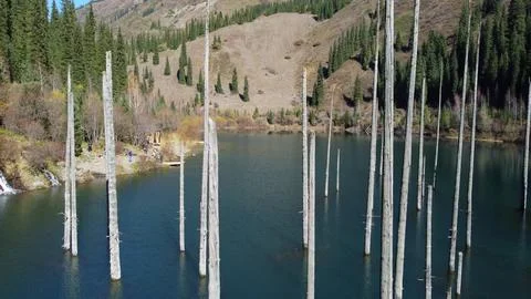 Submerged tree trunks in the waters of Lake Kaindy, Kazakhstan Stock Photos