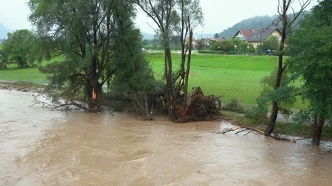 Submerged trees during summer floods Stock Footage 247398739