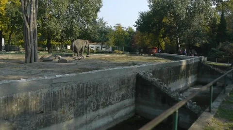 Subotica zoo Stockbeeldmateriaal 47329631