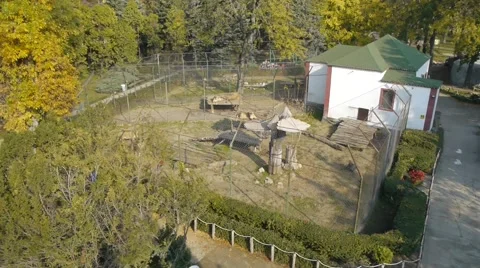 Subotica zoo Vídeos de archivo 47329771