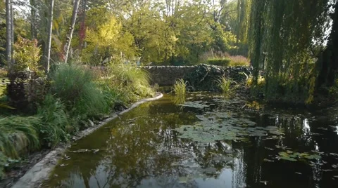 Subotica zoo Stock Footage 47329870