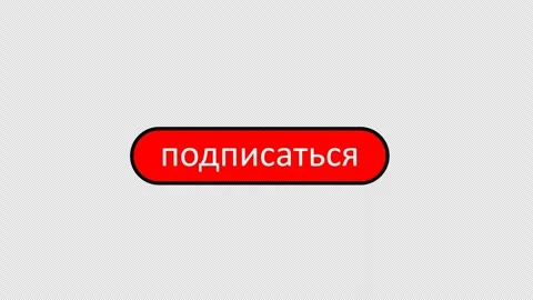 Subscribe and subscribed button, graphic animation. Colored Stock Footage 296387913