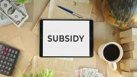 SUBSIDY DISPLAYING ON FINANCE TABLET SCREEN Stock Footage 308087982