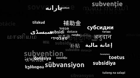 Subsidy Translated in 48 Worldwide Languages Endless Looping 3d Zooming Wordc Video stock 145230356