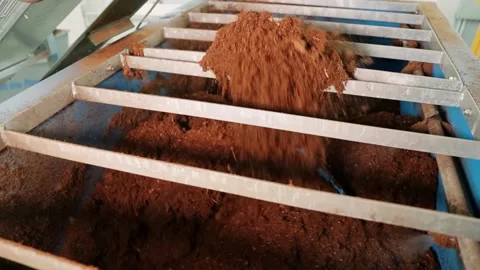 Substrate preparation for cone seedlings, seed center substrate preparation Stock Footage 178906617