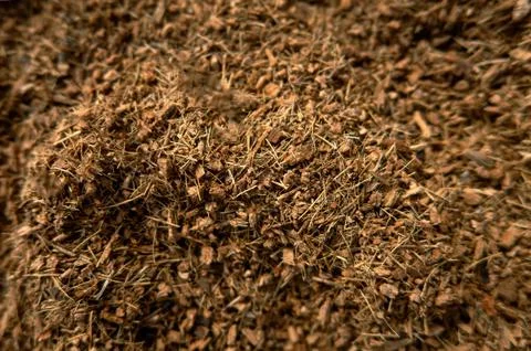 Substratum texture pattern background for garden agriculture Foto stock
