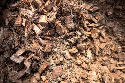 Substratum texture pattern background for garden agriculture Stock Photos