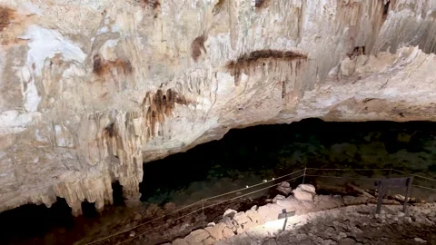 Subterranean Cenote with bats flying inside Stock Footage 274324398