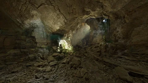 Subterranean ecosystem with thriving flora nestled in limestone fissures Video stock 341566178