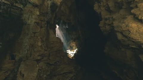 Subterranean rainforest hidden within rocky amphitheater shelter Stock Footage 343616038