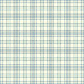 Subtle background vector texture, shop plaid check pattern. Customized fabr.. 스톡 일러스트
