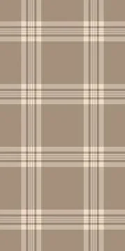 Subtle beige and brown plaid pattern.  Perfect for textile design, website ba Stock Illustration