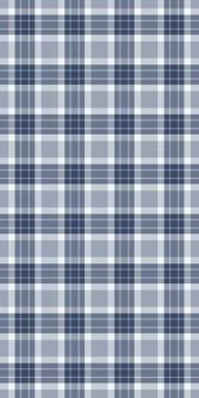 Subtle blue and white plaid pattern.  Perfect for textile design, website bac Stockillustratie