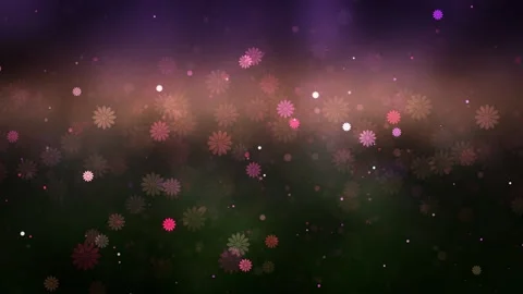 Subtle colorful bokeh flowers float across a dreamy purple background filled Stock Footage 341998700