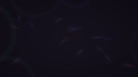 Subtle dark bokeh with faint neon streaks on a black background Stock Footage 335883888