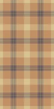 Subtle earthtoned plaid pattern.  Perfect for backgrounds, textiles, or packa Stock Illustration