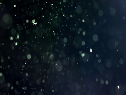 Subtle floating particles of dust to enr... | Stock Video | Pond5