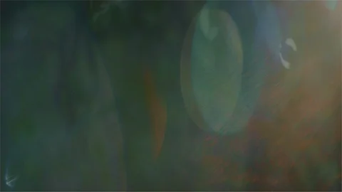 Subtle gleaming light flaring through trees in the forest Video stock 107275349