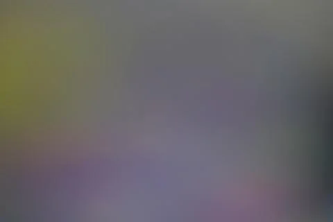 Subtle gradient background featuring shades of violet, gray, and chartreuse Stock Photos