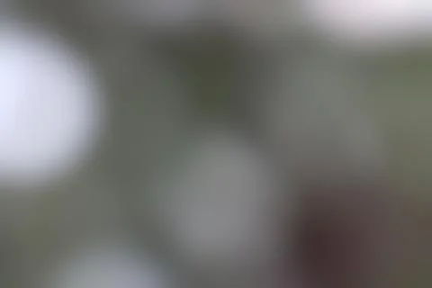 Subtle Gradient of Blurred Tones in Abstract Background Concept Stock Photos