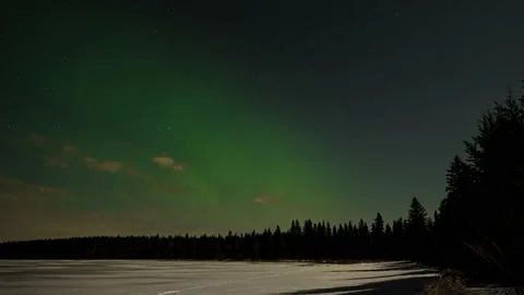 Subtle green  Aurora behind and a few moonlit clouds above a boreal forest  Stock Footage 153034441