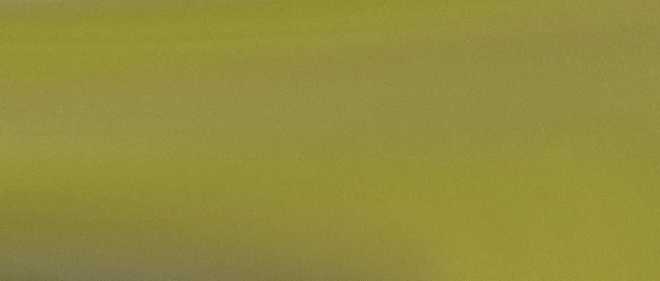Subtle green yellow gradient background with a uniform soft texture and mut.. Stock Illustration