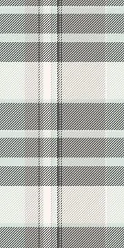 Subtle grey and white plaid pattern.  Elegant textile texture ideal for fashi 스톡 일러스트