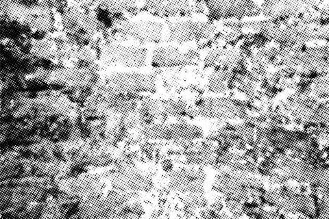 Subtle halftone dots vector texture overlay Stock Illustration