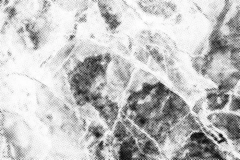 Subtle halftone dots vector texture overlay Stock Illustration