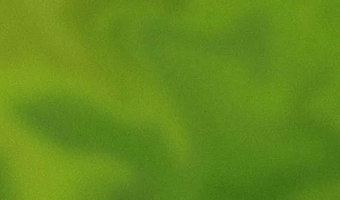 Subtle light effects on a green background with a grainy texture Stock Photos