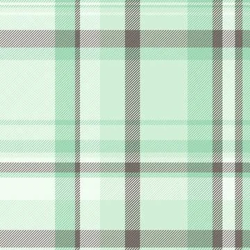 Subtle mint green and gray plaid pattern.  Perfect for textile design, websit Stock Illustration