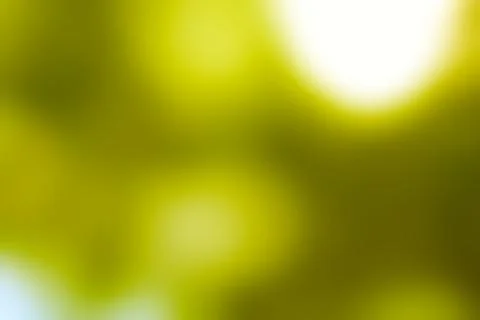 Subtle Olive Green Gradient Blurred Light, Ideal for Background Usage 스톡 사진