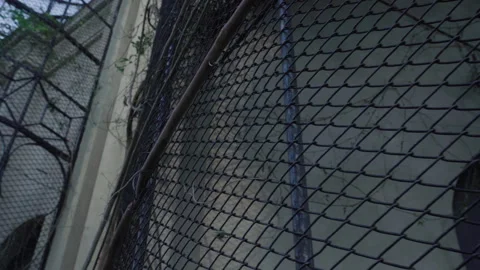 Subtle Panning Shot of Chain-Link Wire Fence - Urban Security Detail Stock Footage 326697552