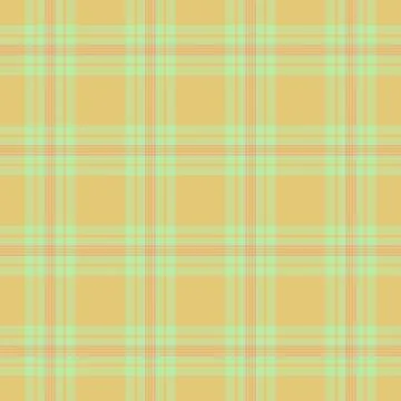 Subtle pattern check plaid, vivid fabric texture tartan. Customized vector .. 库存插图