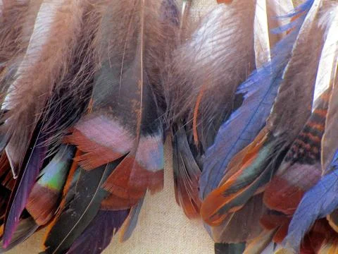 Subtle patterns in the soft pastel colors of feathers floating in a breeze. Stock Photos