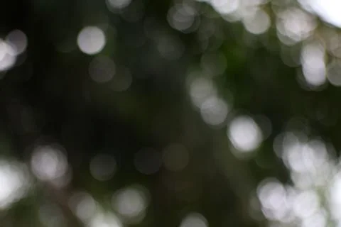 Subtle play of light, blurred spheres create an ethereal and dreamlike expe.. Stock Photos